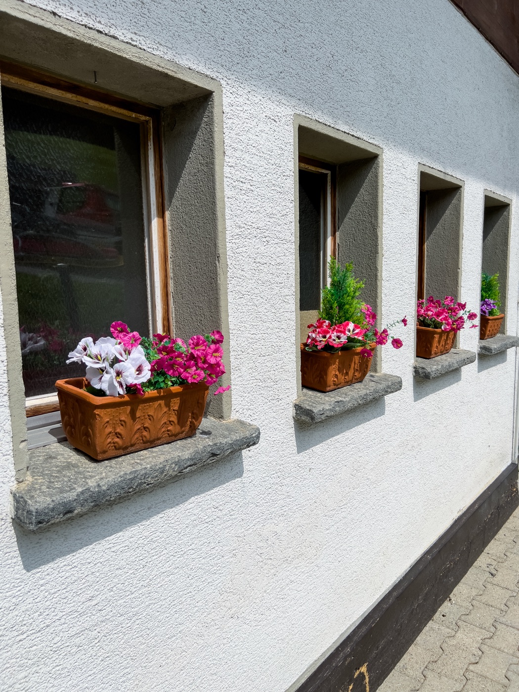 Geranien am Fenster des Gasthauses