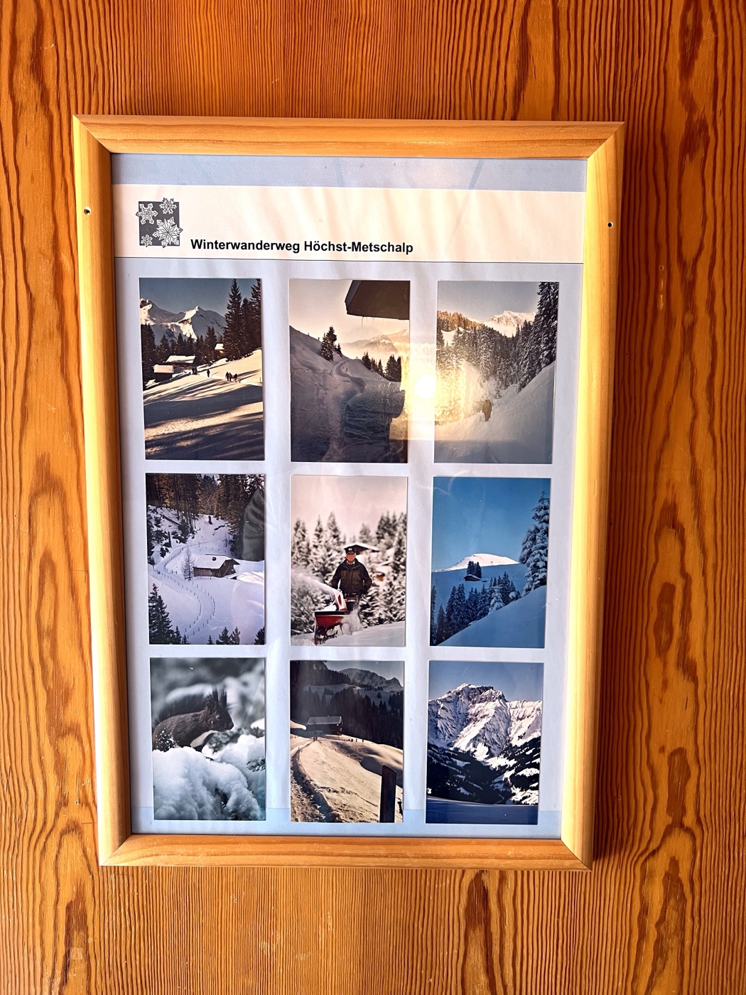 Bilderwand mit Aufnahmen aus dem Skigebiet